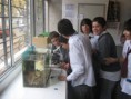 /album/fotogaleria/imagen2-jpg/