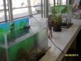 /album/fotogaleria/sdc11199-jpg/